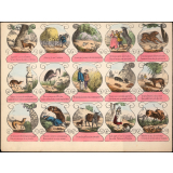 Les Fables de La Fontaine en énigmes. 