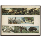 Loto des animaux. 