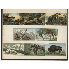 Loto des animaux. 