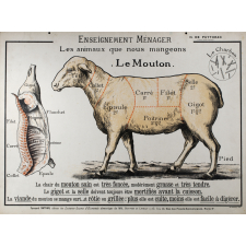 Enseignement ménager. Les animaux que nous mangeons. Le Mouton.