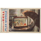 Buvard publicitaire. Chewing Gum Bell et Flan Mireille. Buvard N° 37. Chat et aquarium. 