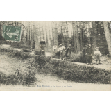 Les Vosges - le Jeudi à la Forêt.