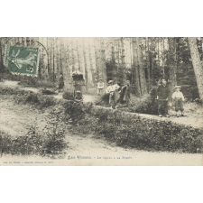 Les Vosges - le Jeudi à la Forêt.