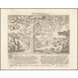 Metaphysica. Arbor Philosophiae Theoreticae.