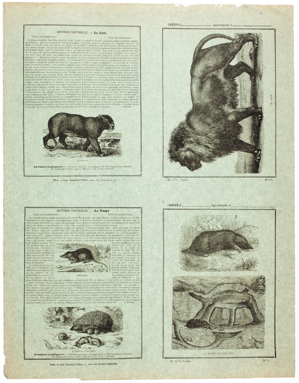 La Taupe et son nid - Le lion - Histoire naturelle n° 4 et 12.