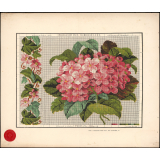 Modèles de broderie.