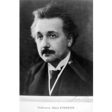 Professeur Albert Einstein.