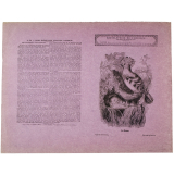 La Huppe - Histoire naturelle n°90. 