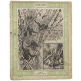 Gibbons et semnopithèques - Histoire naturelle n°1.