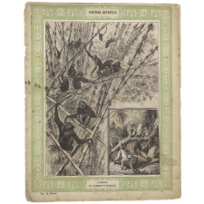 Gibbons et semnopithèques - Histoire naturelle n°1.