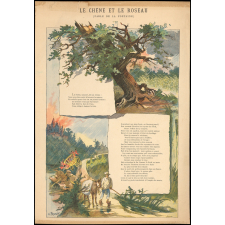Le Chêne et le Roseau. (Fable de La Fontaine).