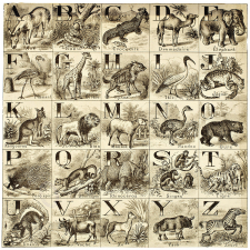 Cubes alphabétiques d'animaux.