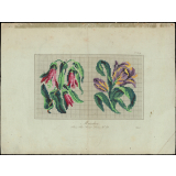 Modèle de broderie.