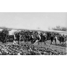 Ecole Normale d'Instituteurs de Châteauroux - Les élèves de seconde année se rendant aux travaux de jardin (le 14 octobre 1899). 