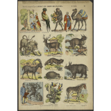 Animaux du Jardin des Plantes.