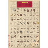 Planche japonaise de zoologie : les mammifères. 