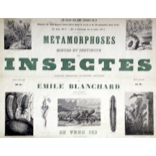Métamorphoses, moeurs et instincts des insectes (insectes, myriapodes, arachnide, crustacés).