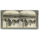 Igorrotes Planting Rice, Island of Lugon. P. I.