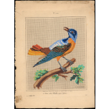 Modèle de broderie. Le Merle. Le Rocher.