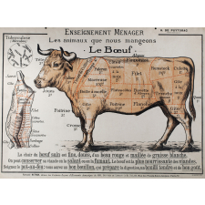 Enseignement ménager. Les animaux que nous mangeons. Le Boeuf.