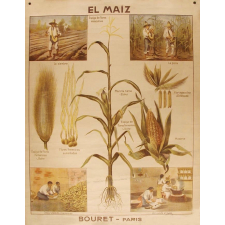 Tableau mural. Las abejas.