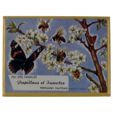 Jeu des Familles : Papillons et insectes.