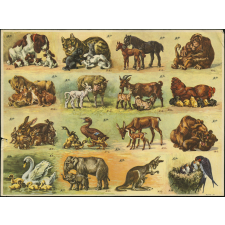 Planches d'images animalières
