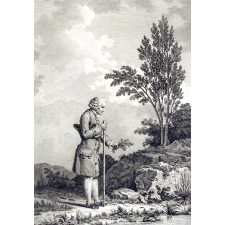 J. J. Rousseau venant d'herboriser, en juin 1778.