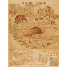 Tableau mural. El cerdo y el jabali.