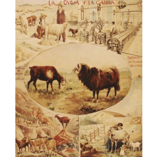 Tableau mural. La oveja y la cabra.