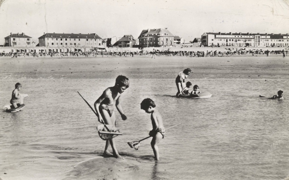 Fort-Mahon (Somme) - Pêche à la crevette.