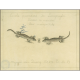 Cochinchine/Dessin de mémoire : des margouillats.