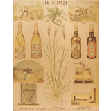 Tableau mural. La cerveza.