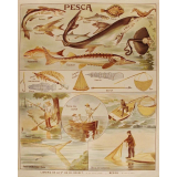 Tableau mural. Pesca.