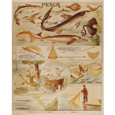 Tableau mural. Pesca.