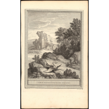 Fable de La Fontaine. L'oiseau blessé d'une fleche. Fable XXVIII.