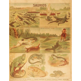 Tableau mural. Saurios.