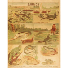 Tableau mural. Saurios.