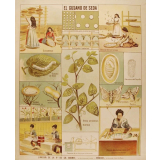 Tableau mural. El gusano de seda.