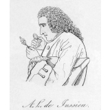 A. L. de Jussieu.