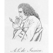A. L. de Jussieu.
