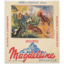 Buvard publicitaire. Biscottes Magdeleine. Plasy tachetée. 