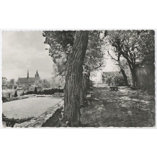 Le Montlouis de J. J. Rousseau. Montmorency (S.-et-Oise). Allée des tilleuls.
