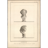 Néron en Apollon. 