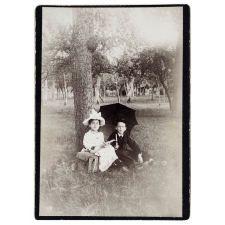 Jeunes enfants au pied d'un arbre. 