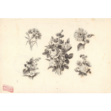 Planche de fleurs.
