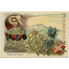 Fleurs de France