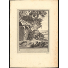 Fable de La Fontaine. Le Chat et un vieux Rat. Fable LX.