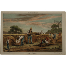 Métiers agricoles et du bâtiment