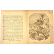 Les Phoques - Histoire naturelle n°143.